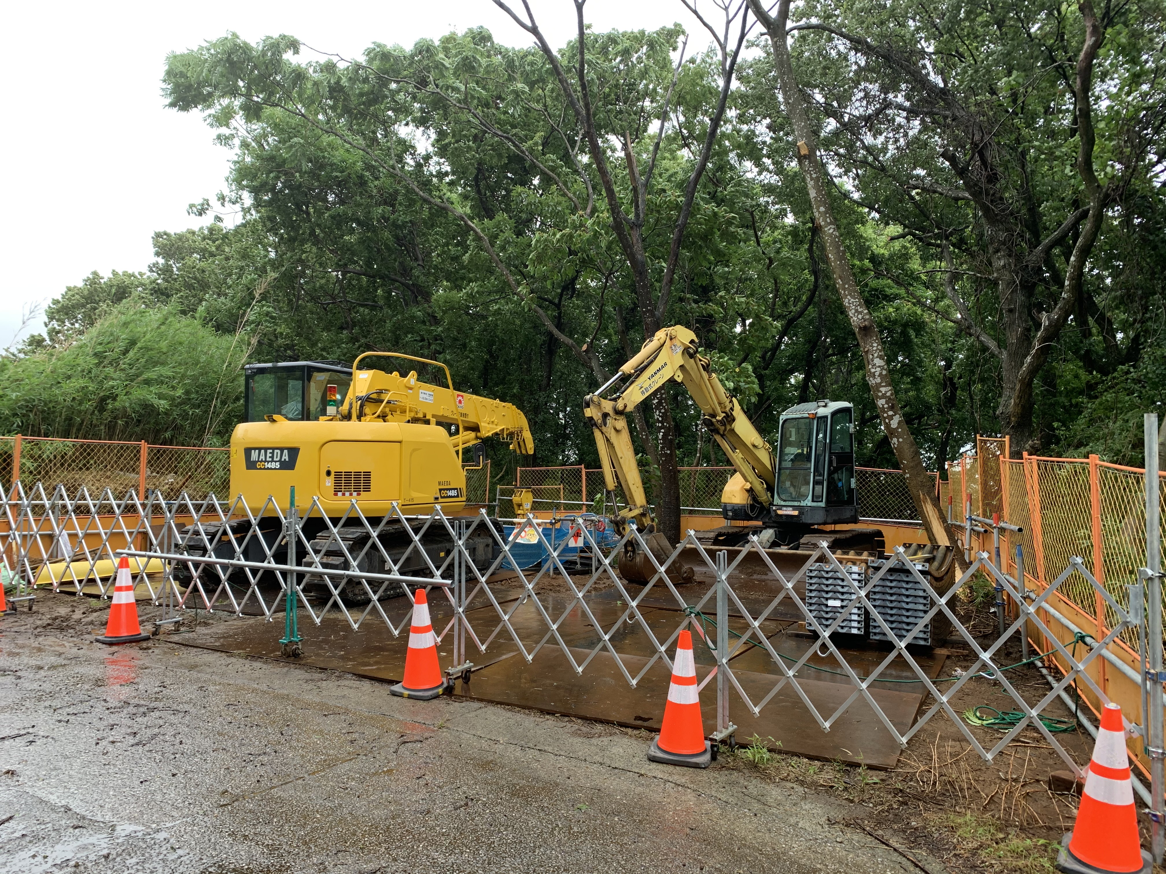 A804E6F3-4425-4597-A61E-C69D84EAED21